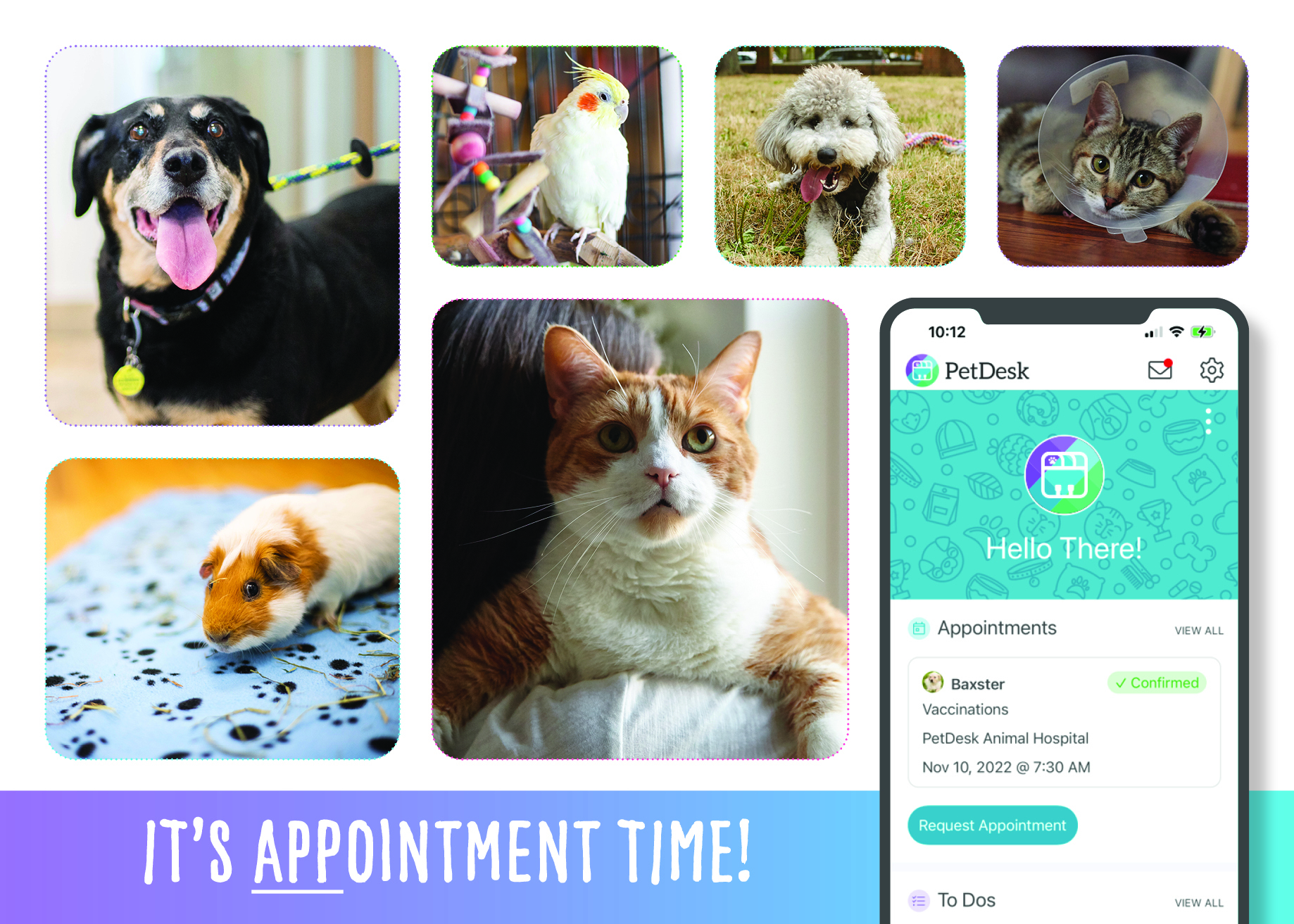 11.22_PetDesk_Postcard_Design_SmartPractice_2_.jpg